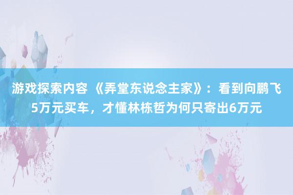 游戏探索内容 《弄堂东说念主家》：看到向鹏飞5万元买车，才懂林栋哲为何只寄出6万元