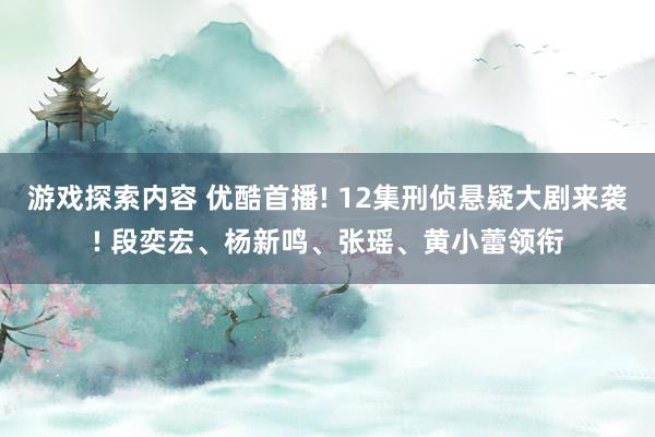 游戏探索内容 优酷首播! 12集刑侦悬疑大剧来袭! 段奕宏、杨新鸣、张瑶、黄小蕾领衔