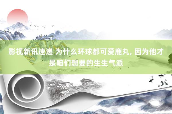 影视新讯速递 为什么环球都可爱鹿丸, 因为他才是咱们想要的生生气派