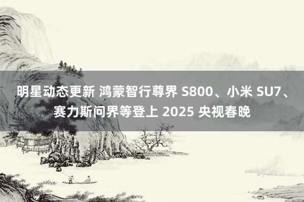 明星动态更新 鸿蒙智行尊界 S800、小米 SU7、赛力斯问界等登上 2025 央视春晚