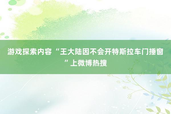 游戏探索内容 “王大陆因不会开特斯拉车门捶窗”上微博热搜